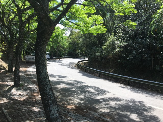 Pico do Jaraguá - Chegada