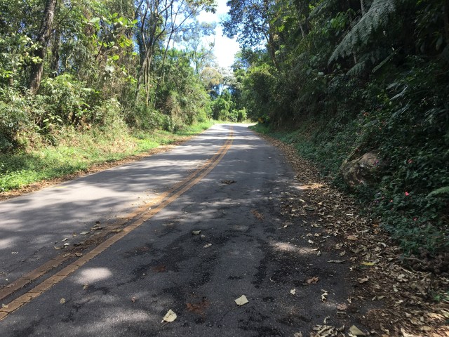Pico do Jaraguá - Km 2